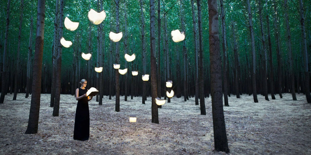 Livro de Luz + FRETE GRÁTIS (ULTIMAS UNIDADES)