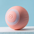 Spinball Brinquedo Pet - Loja Melhor Opção